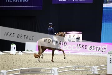 182194_avh_06_3598.JPG