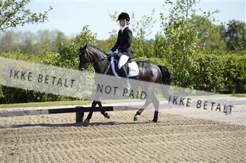 139815_ms_01__MS26984.JPG