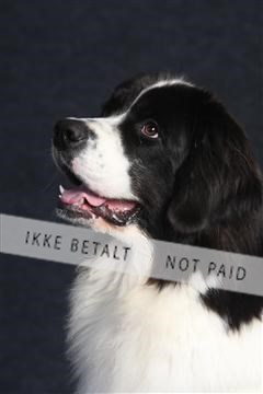 132082_le_ 01_IMG_0582.JPG