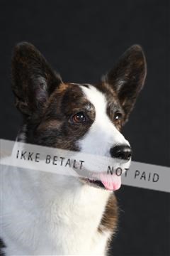 132082_le_ 01_IMG_0607.JPG