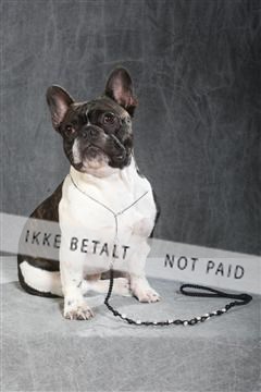 130054_le_ 01_0205.JPG