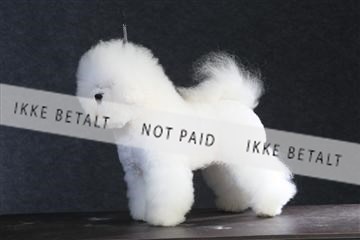 132082_le_ 01_IMG_0184.JPG