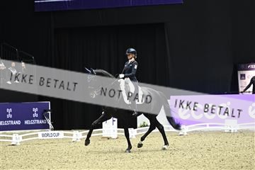 182194_kbb_03_Z092638.JPG