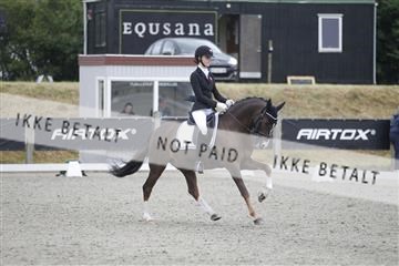 166078_rhj_01__J7R4204.JPG