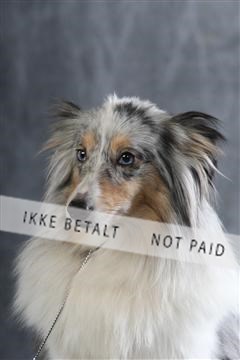 129608_le_ 01_0900.JPG