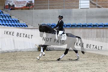 182241_kbb_01_Z094208.JPG