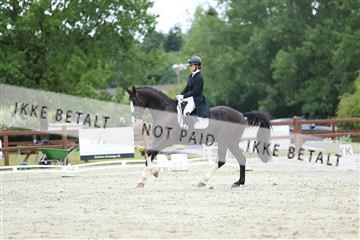 181923_mtp_01_R62_6734.JPG