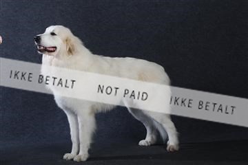 132082_le_ 01_IMG_0825.JPG