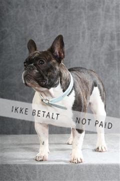 130054_le_ 01_0089.JPG