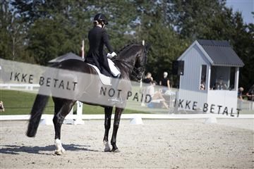 163526_cts_01_692A6281.jpg
