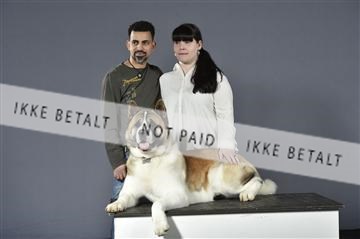 154510_studie_01_kuo_01__kuo10000.JPG_63.JPG