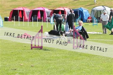 130370_tl_02_IMG_7755.JPG