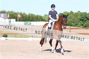 181449_bc_01R62_6122.JPG