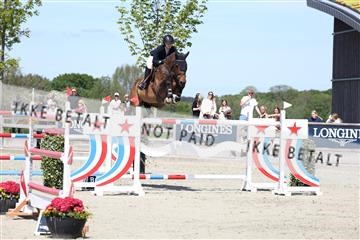 181436_avh_03_4585.JPG