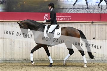 182241_kbb_01_Z093237.JPG