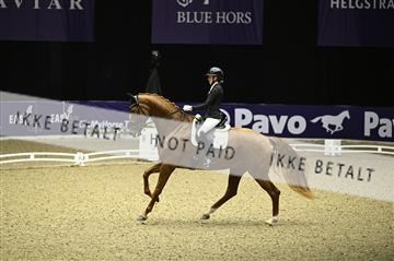 182194_kbb_01_Z095596.JPG