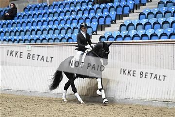 182241_kbb_01_Z093946.JPG