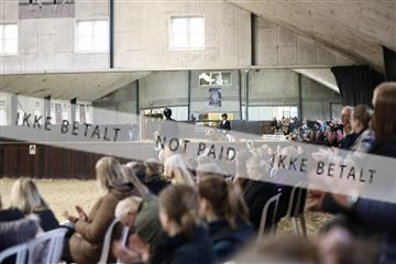 181243_avh_01_1865 2.JPG