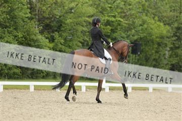 139835_sg_01_IMG_8363.JPG