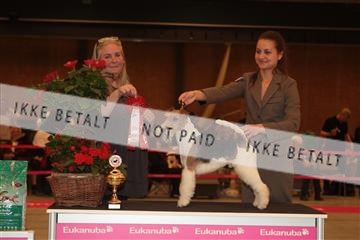 124188 _tl_02_IMG_9529.JPG