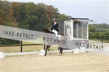 181894_mtp_04_R62_3529.JPG
