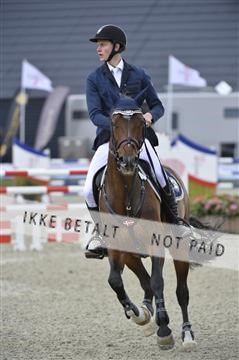 139644_abo_06__AB10121.JPG