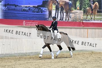 182241_kbb_01_Z093246.JPG