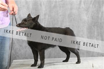 129608_le_ 01_0637.JPG