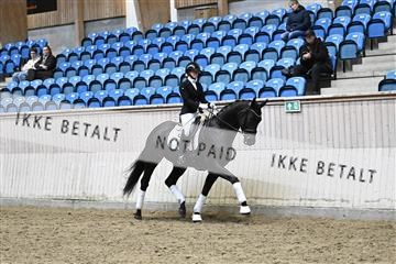 182241_kbb_01_Z094807.JPG