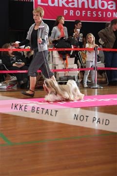 6068_ma_05_IMG_5748.JPG