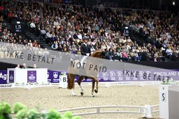 182194_avh_07_4105.JPG