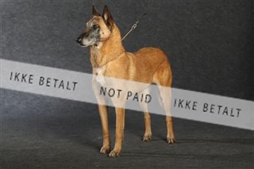 132082_le_ 01_IMG_0853.JPG