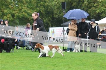 182009_rin_01_R62_7742.JPG