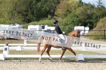 181894_mtp_05_R62_5007.JPG