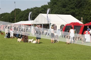 130370_le_03_IMG_8054.JPG