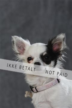 130054_le_ 03_0172.JPG