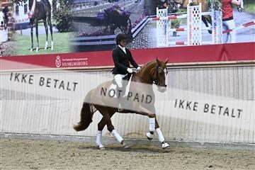 182241_kbb_01_Z093712.JPG