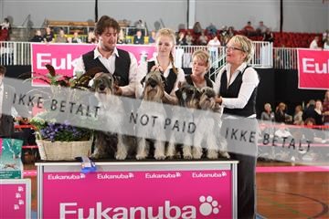 6068_ma_05_IMG_5568.JPG