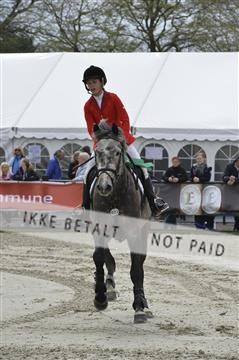 139644_abo_05__AB19904.JPG