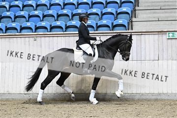 182241_kbb_01_Z095053.JPG