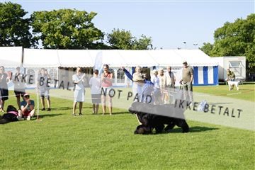 181564_kar_01__62_8351.JPG