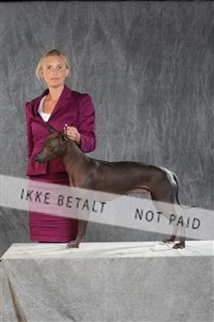 130054_le_ 03_0288.JPG