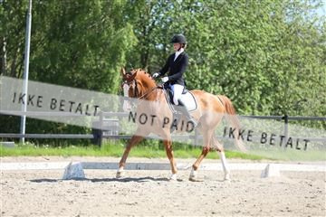 168732_mtp_01_3M5A8073.JPG