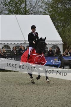 139644_abo_07__AB15742.JPG