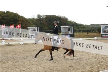181894_mtp_03_R62_2574.JPG