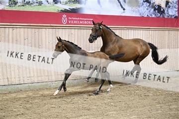 181754_kbb_01_Z093789.JPG
