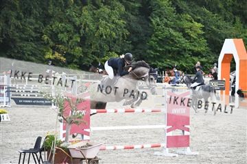 172734_akl_01_AKL_7516.JPG