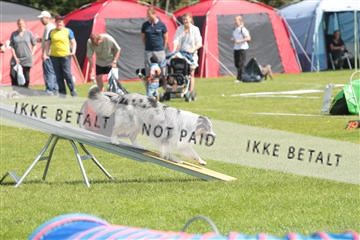 130370_tl_02_IMG_7757.JPG
