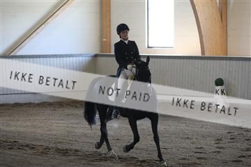 139267_kl_1_8M1Q6871.JPG