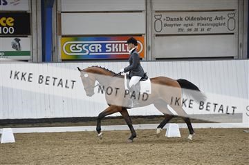 140040_abo_02__AB18659.JPG